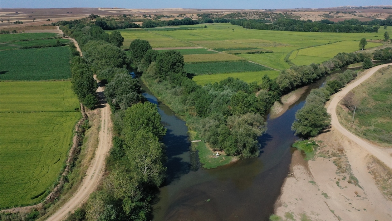 DSİ`nin iş makinalarıyla nehir hattında suyun takıldığı yerlerde çalışma yaptığını anlatan Arabacı, şunları kaydetti: