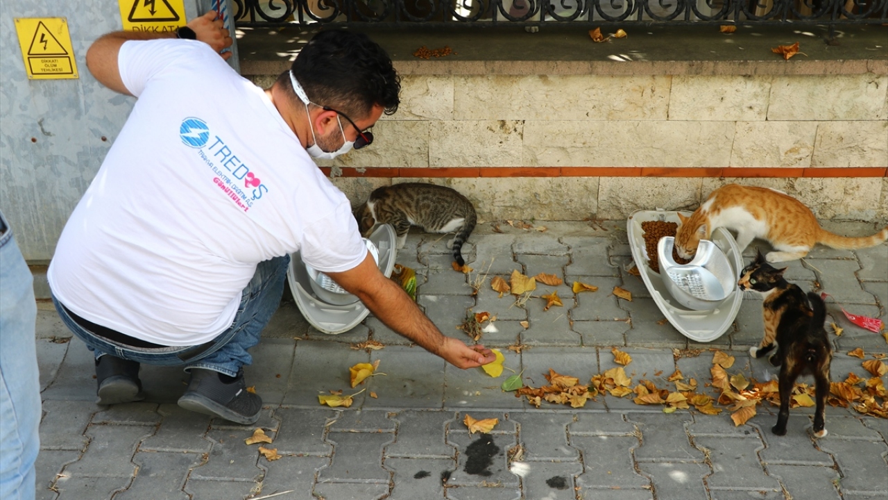 TREDAŞ Genel Müdürü Reşit Bilgili, gazetecilere yaptığı açıklamada, Tekirdağ, Edirne ve Kırklareli`nde faaliyet yürüttüklerini anımsattı.