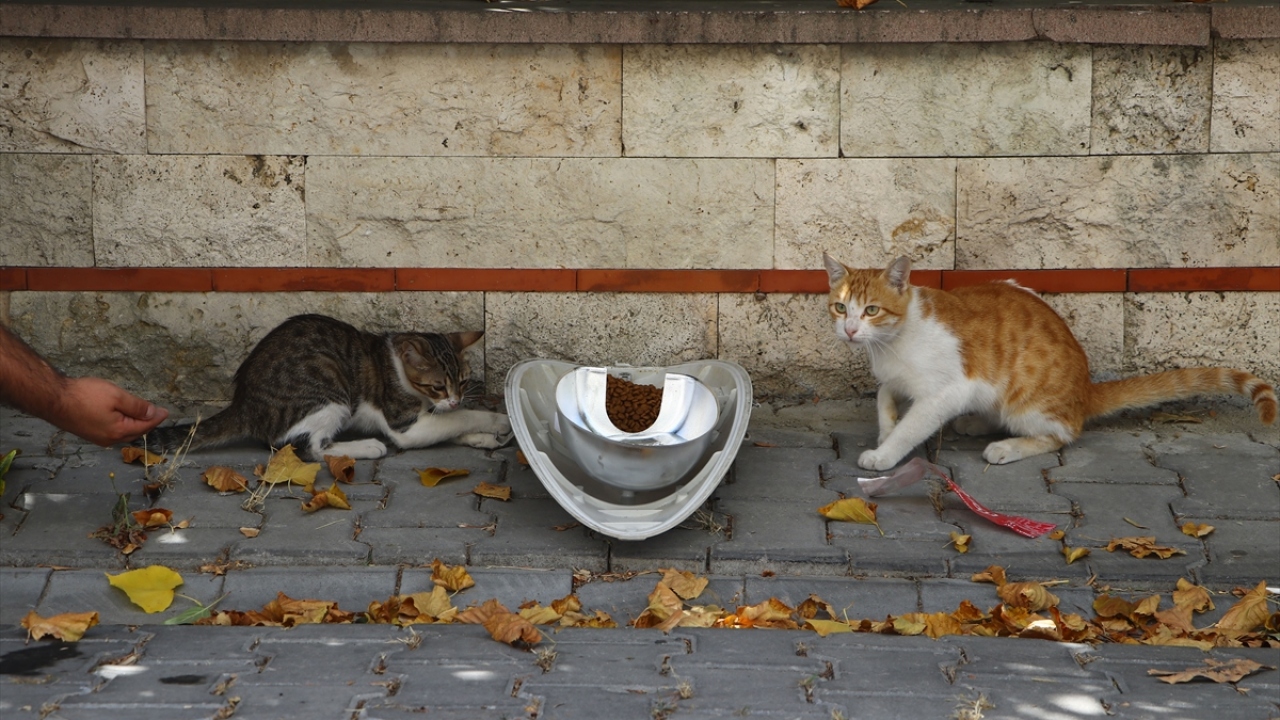 Projeyle farkındalık oluşturacaklarını vurgulayan Bilgili, şunları kaydetti: