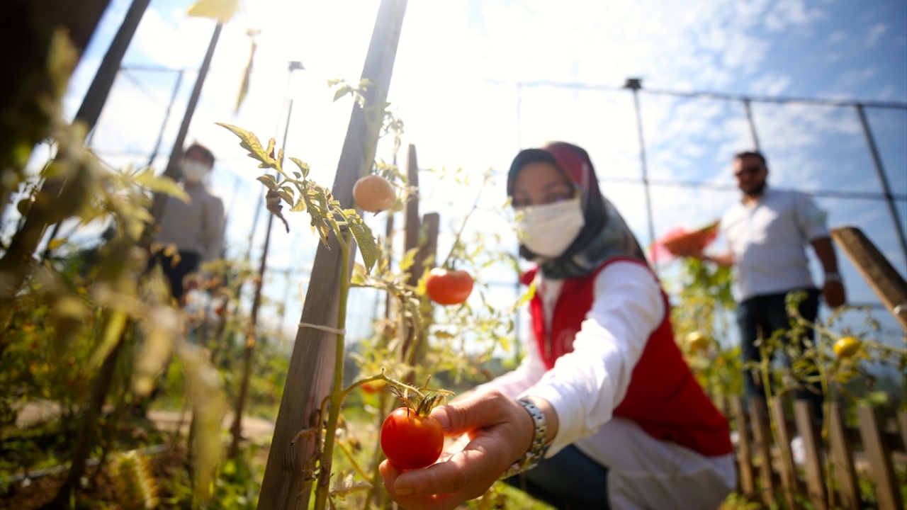 "Ürünlerimizin tesciliyle ilgili de çalışıyoruz"