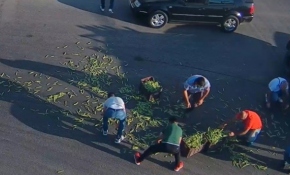 Trafikteki fasulye dayanışması MOBESE’ye yansıdı