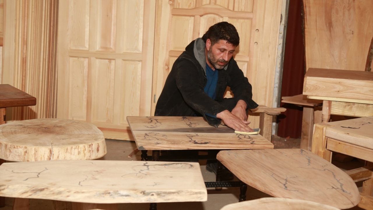 Matur, atıl ağaçları geri dönüşüme kazandırarak insanlara atılacak bir şeyin olmadığını göstermek istediğini belirterek, böylece hem ekonomiye katkıda bulunduğunu hem de para kazandığını vurguladı.