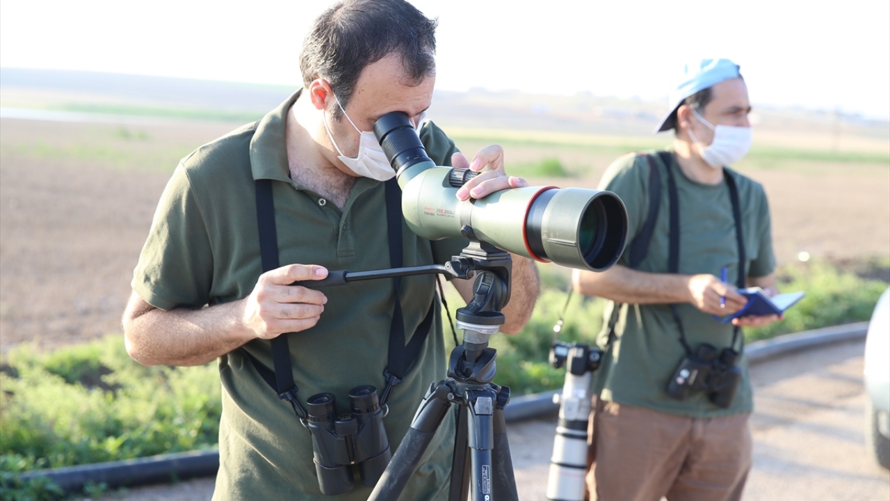 "Türkiye`deki kuş gözlemcilerinin uğrak noktası olmaya adaydır"