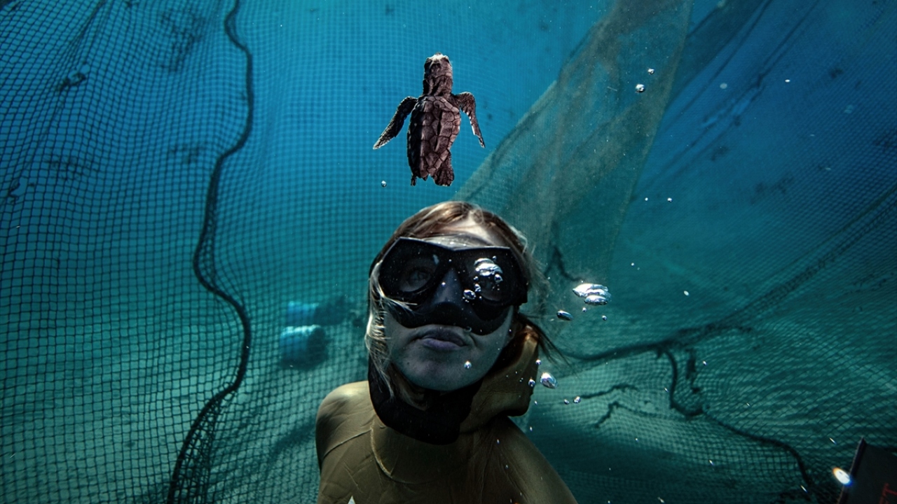 Dünya serbest dalış rekortmeni Ercümen dalış yaptı