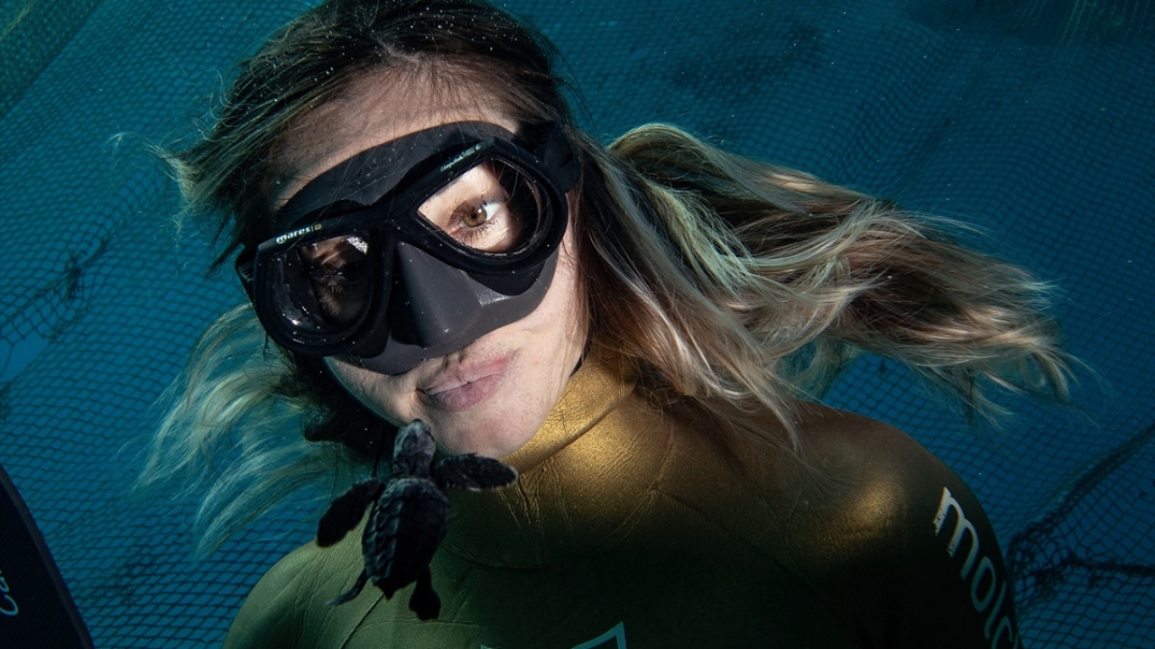 Emine Erdoğan`ın desteklediği "Sıfır Atık Projesi"ne dikkati çekmek amacıyla dalış yapan Ercümen, yavru caretta carettaların ilk adımlarına şahitlik etti.