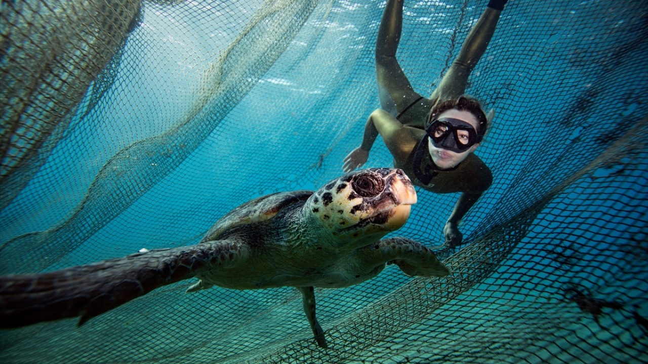 Ercümen`in dalışı, Anadolu Ajansı ekibince görüntülendi. 