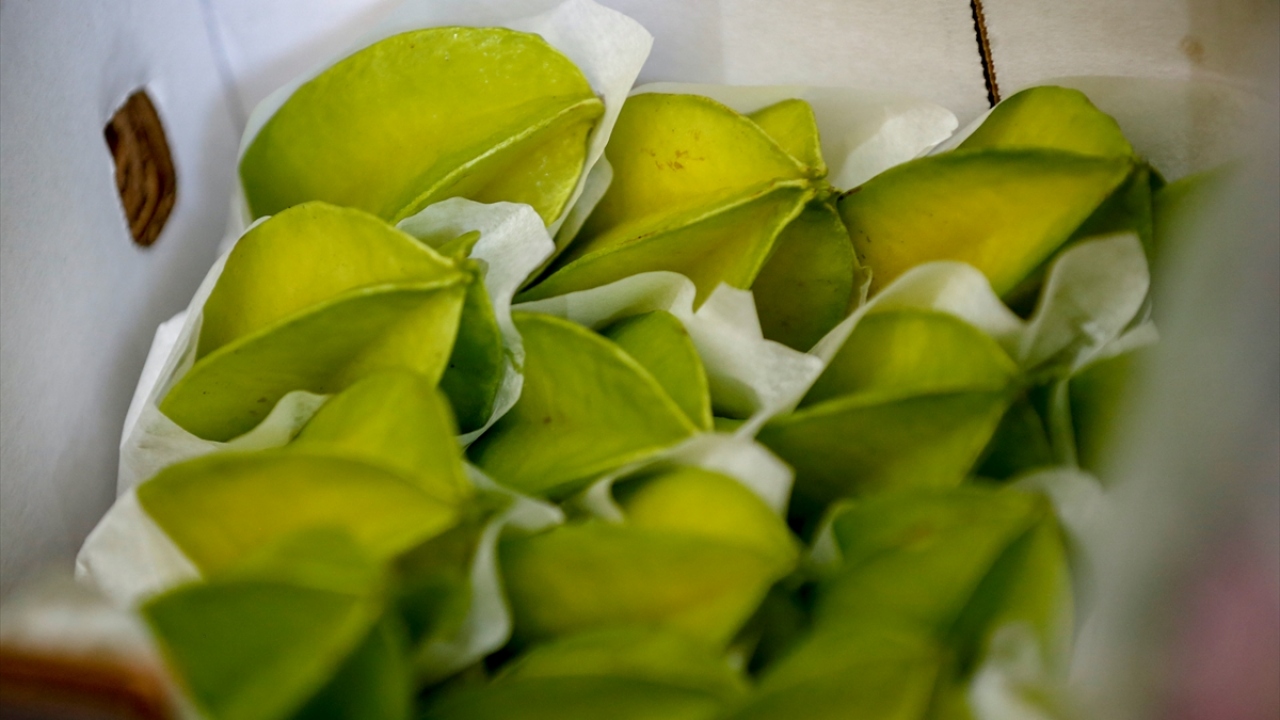 Batı Akdeniz İhracatçılar Birliğinin (BAİB) verilerine göre, bölgeden 7 ayda 274 bin dolarlık yaban mersini, 100 bin dolarlık kivi, 56 bin dolarlık avokado, 11 bin dolarlık ananas ihracatı gerçekleştirildi. 