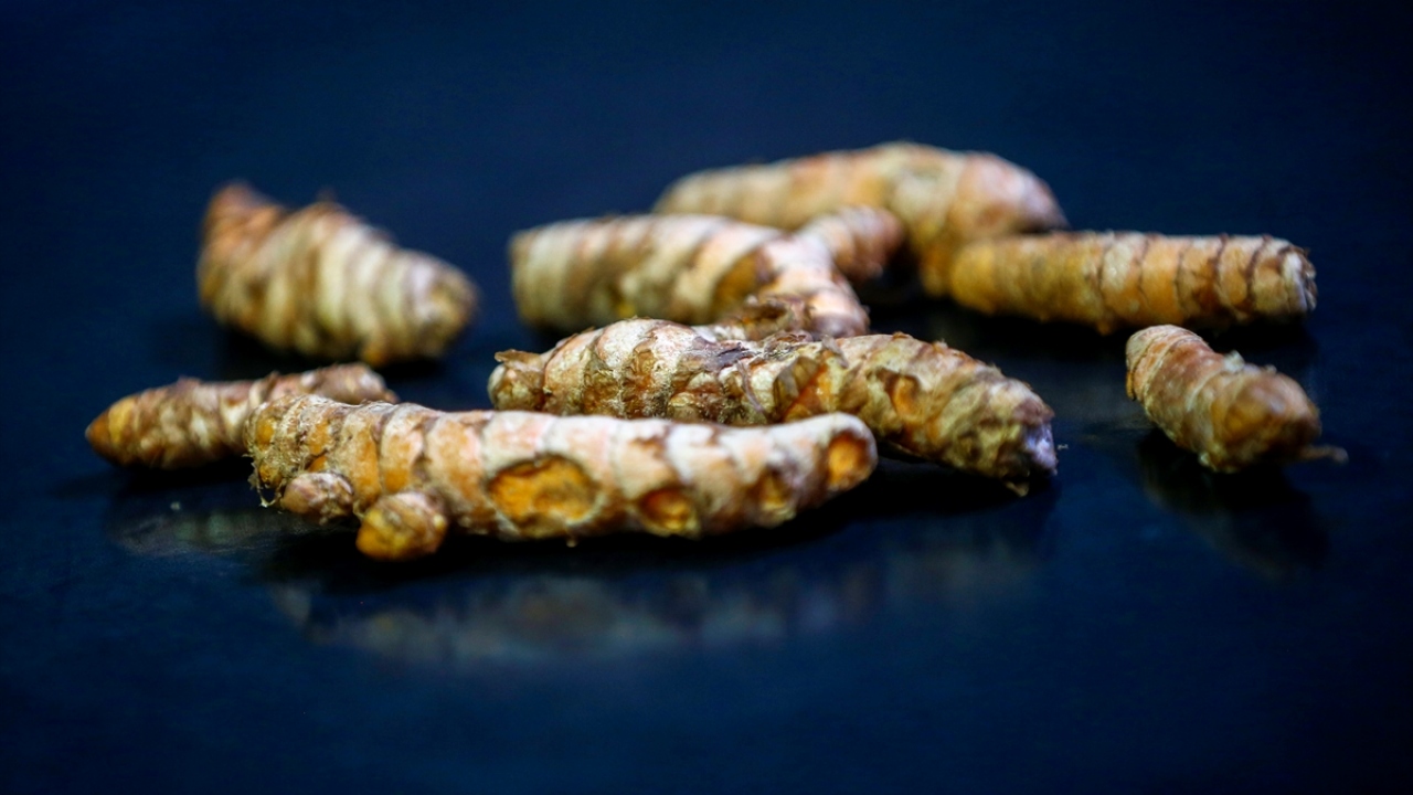 "Antalya tropik meyve üretiminde önemli bir potansiyele sahip"