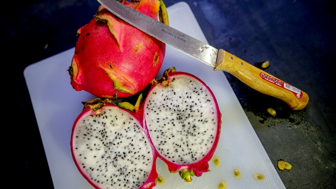 Türkiye`de bir karış arazinin bile boş kalmaması gerektiğinin altını çizen Güngör, üretimdeki fırsatların en iyi şekilde değerlendirilmesi gerektiğini vurguladı.