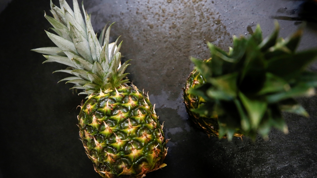 Türkiye`de yetişen ürünleri ihraç ederken, ülkede yetişmeyen ürünleri de ithal ederek Türk markasıyla dünyaya pazarladıklarını anlatan Güngör, Kosta Rika, Malezya ve Hollanda olmak üzere üç ülkede merkezlerinin bulunduğunu söyledi.