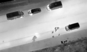 5 milyon lira fidye için kaçırılan iş adamı operasyonla kurtarıldı