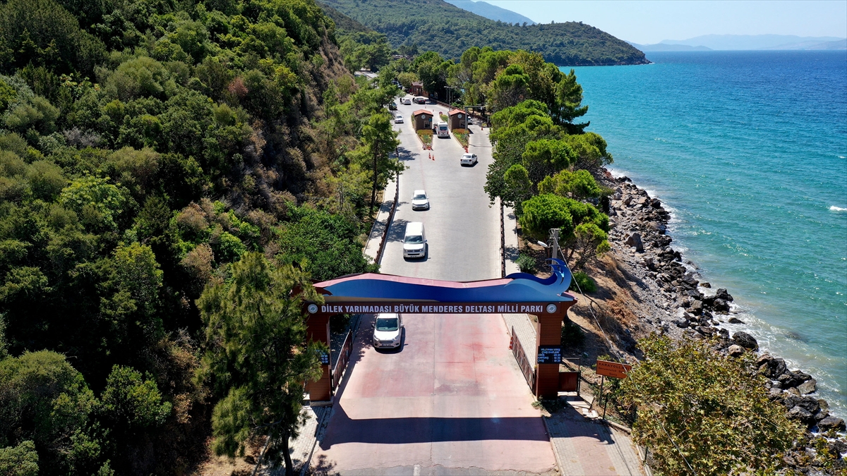 Doğası, koyları, endemik bitki türleri ve nesli tükenmekte olan hayvanların yer aldığı Kuşadası ilçesindeki Dilek Yarımadası Büyük Menderes Deltası Milli Parkı, yeni normalleşmeyle birlikte vatandaşların tercih ettiği noktalardan oldu.