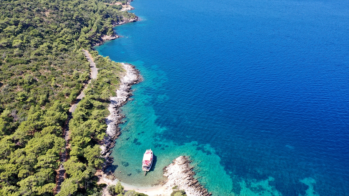 Milli Park Müdürü Koray Aşık, yaptığı açıklamada, "Maviyle yeşilin birleştiği yer" olarak bilinen milli parkın 27 bin 600 hektarlık alana sahip olduğunu ve Kuşadası, Söke ve Didim ilçelerini kapsadığını söyledi.