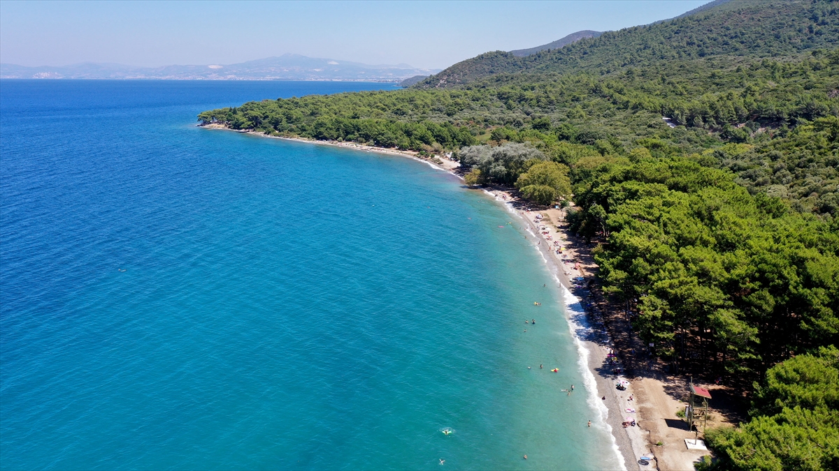 "Yıl sonuna kadar 1 milyon ziyaretçi"