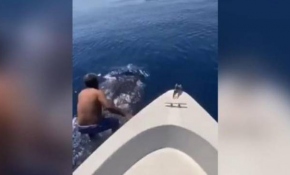 Suudi Arabistan’da bir adam balina köpek balığının sırtına bindi