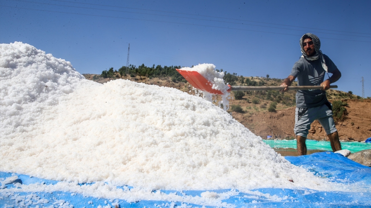 Yüksel, şu ifadeleri kullandı: