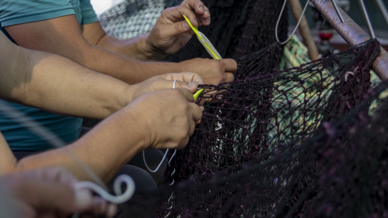 Barınaktan 60 teknenin yasağın bitmesiyle denize açılacağına değinen Aksoy, 1 Eylül`ü sadece balıkçıların değil tüm Türkiye`nin dört gözle beklediğini kaydetti. 