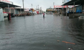 Samsun'da yağış su baskınlarına yol açtı