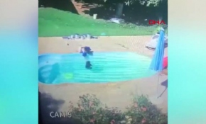 Havuza düşen bir yaşındaki çocuğu arkadaşı böyle kurtardı