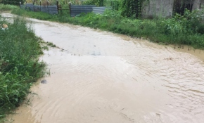 Giresun'da sağanak nedeniyle dere taştı
