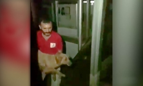 Selde mahsur kalan köpeği Kızılay kurtardı