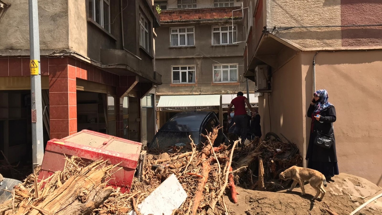 4 can kaybı, 11 vatandaş kayıp