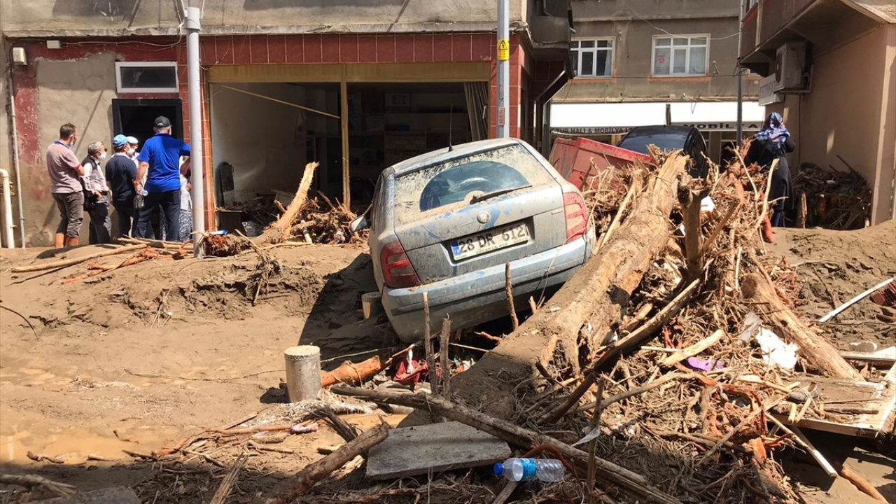 Otomobiller ağaç dallarında…