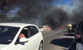 İzmir Seferihisar'da korkutan yangın