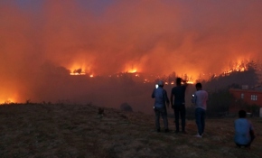 Adana'da orman yangını: 6 köy boşaltıldı, 800 ev tahliye edildi