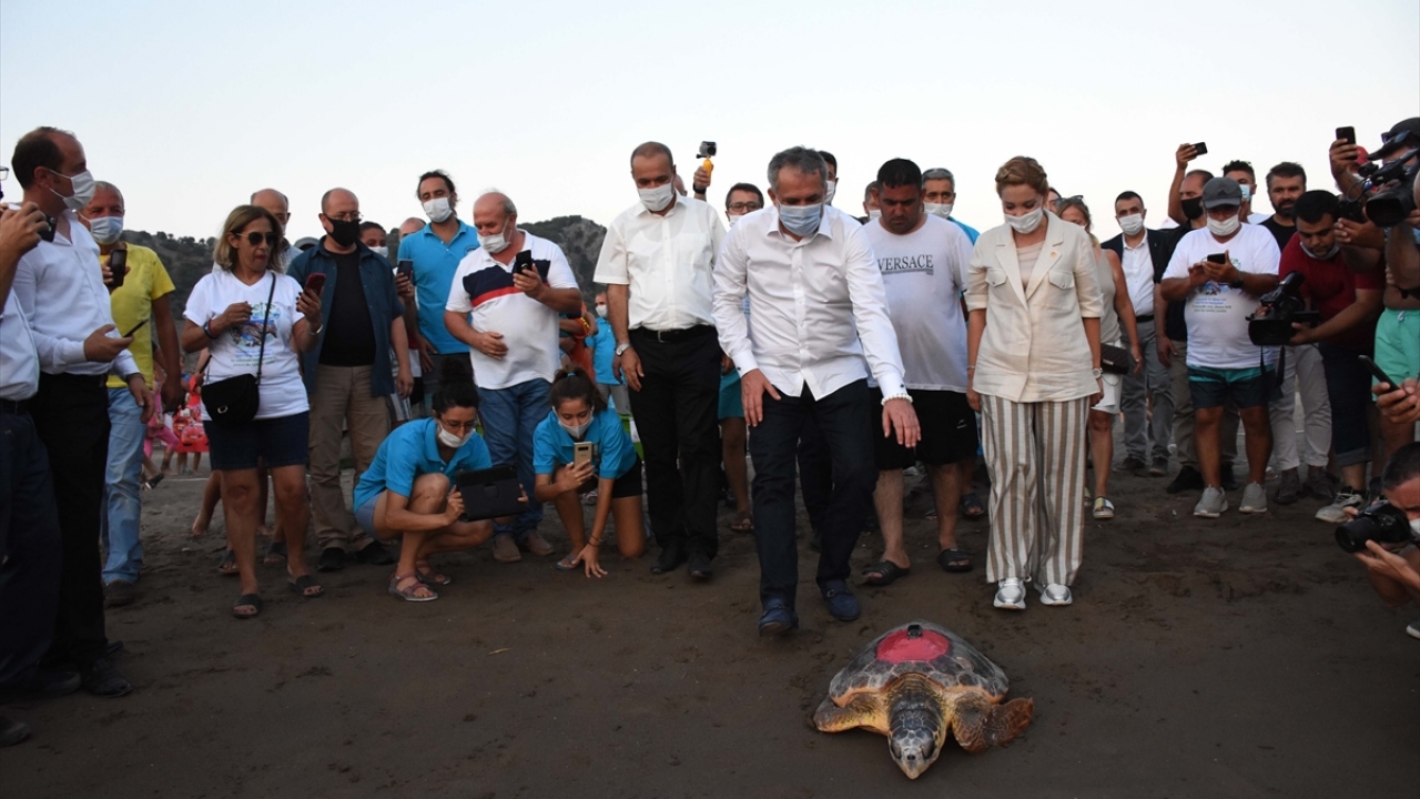 AK Parti Muğla Milletvekili Yelda Erol Gökcan da İztuzu Plajı`nın en iyi korunan plajlardan olduğunu, burası denilince de akla caretta carettaların geldiğini vurguladı. 