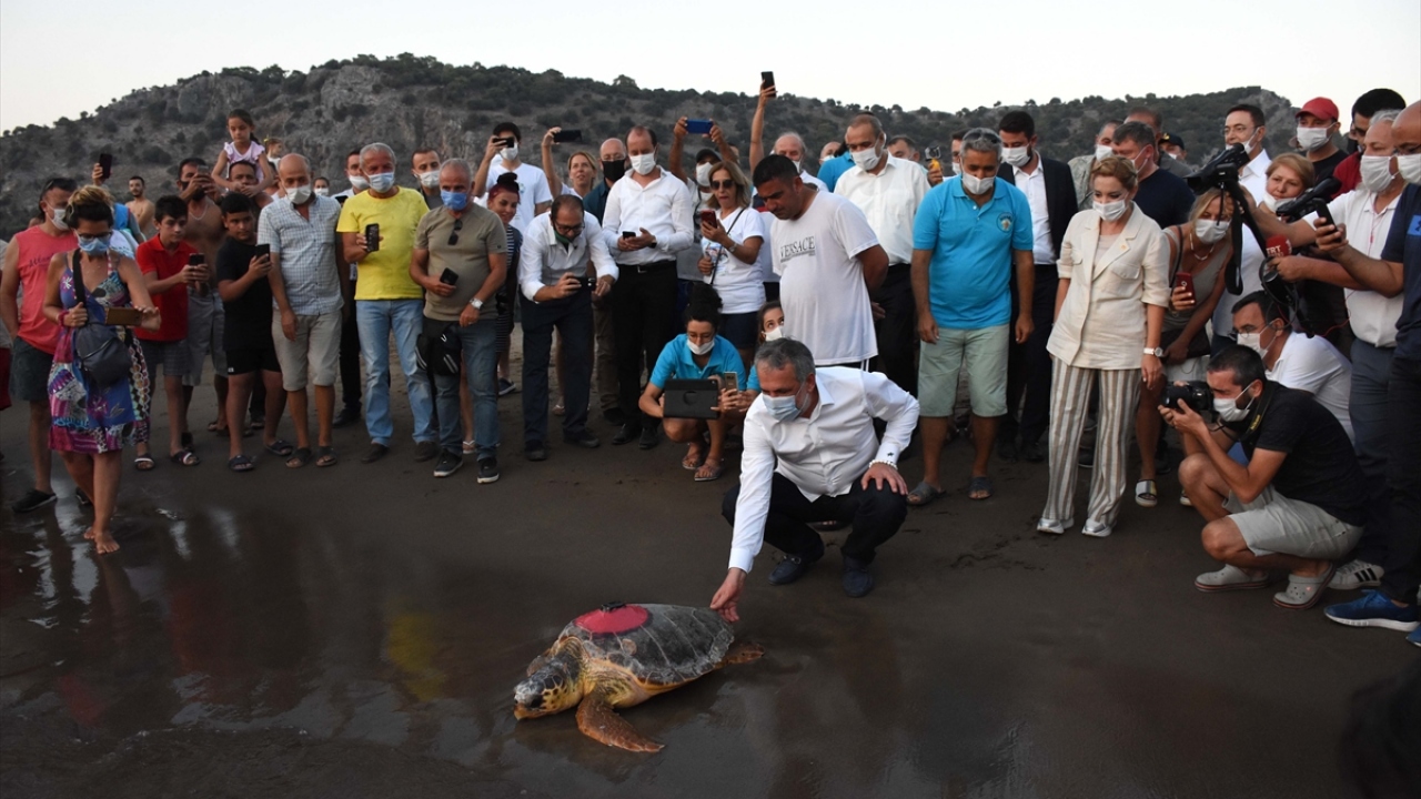 Törene, Çevre ve Şehircilik Bakanlığı Tabiat Varlıklarını Koruma Genel Müdürü Mehmet Ali Kahraman, Ortaca Kaymakamı Oktay Erdoğan, Belediye Başkanı Alim Uzundemir ile birçok kişi katıldı.