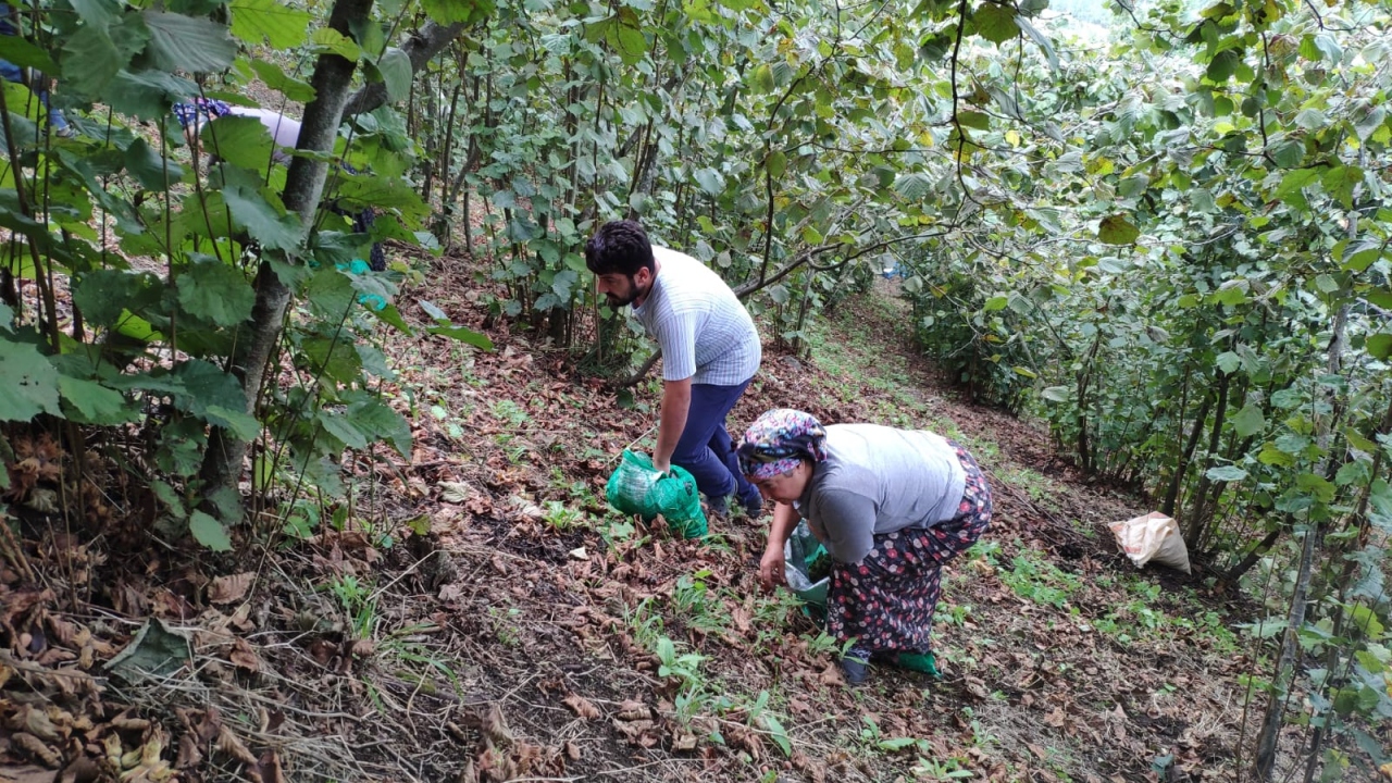 "Bu sene de bereketli geçti"