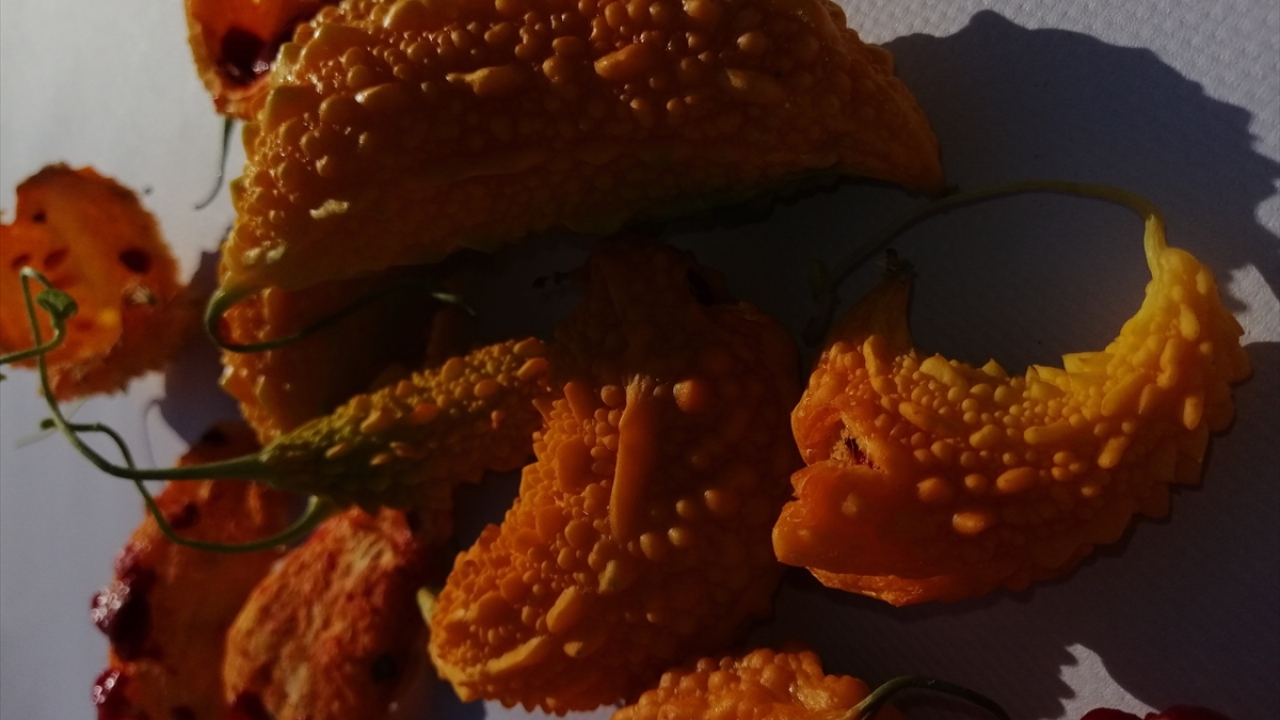 Kudret narının, bazı hastalıklara yararlı geldiğini ve su istemediği için yetiştirilmesinin kolay olduğunu belirten Koç, şunları kaydetti;