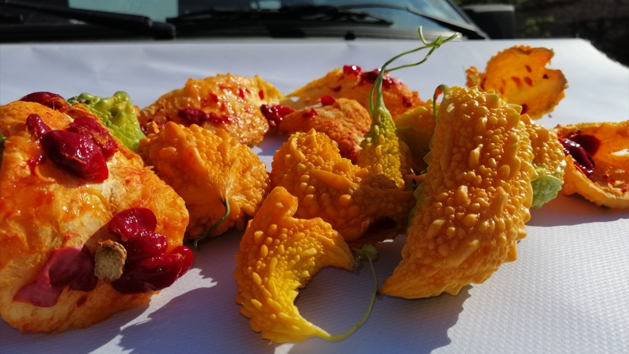 Özellikle mide, bağırsak gibi organlarla sindirim sisteminin sağlığını korumak için kudret narı tüketimi öneriliyor. 