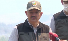 Bakan Pakdemirli: Yangınların sebebi yüzde 90 insan hatası