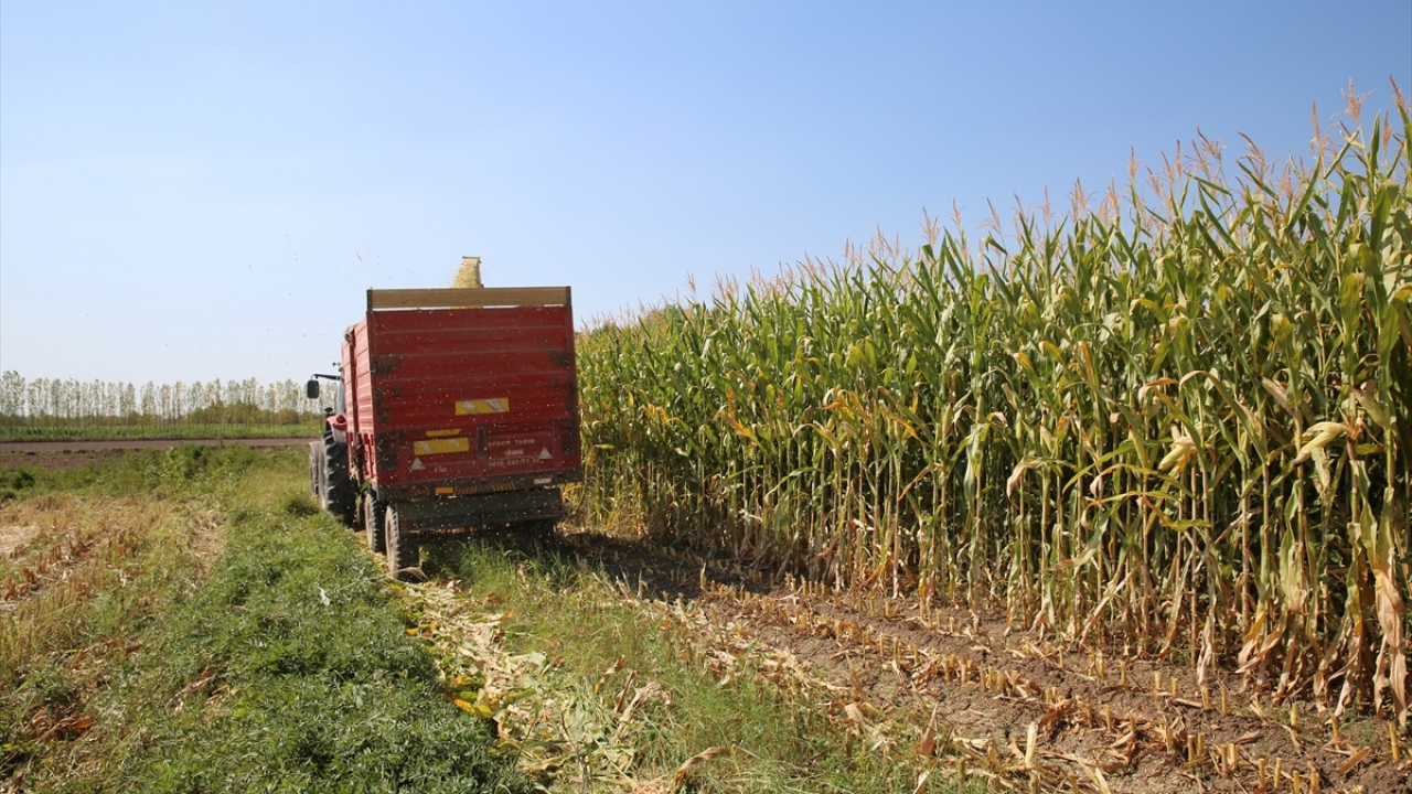 Iğdır Tarım ve Orman Müdürü Özkan Yolcu, Iğdır`ın tarım konusunda her geçen yıl daha da geliştiğini söyledi. 