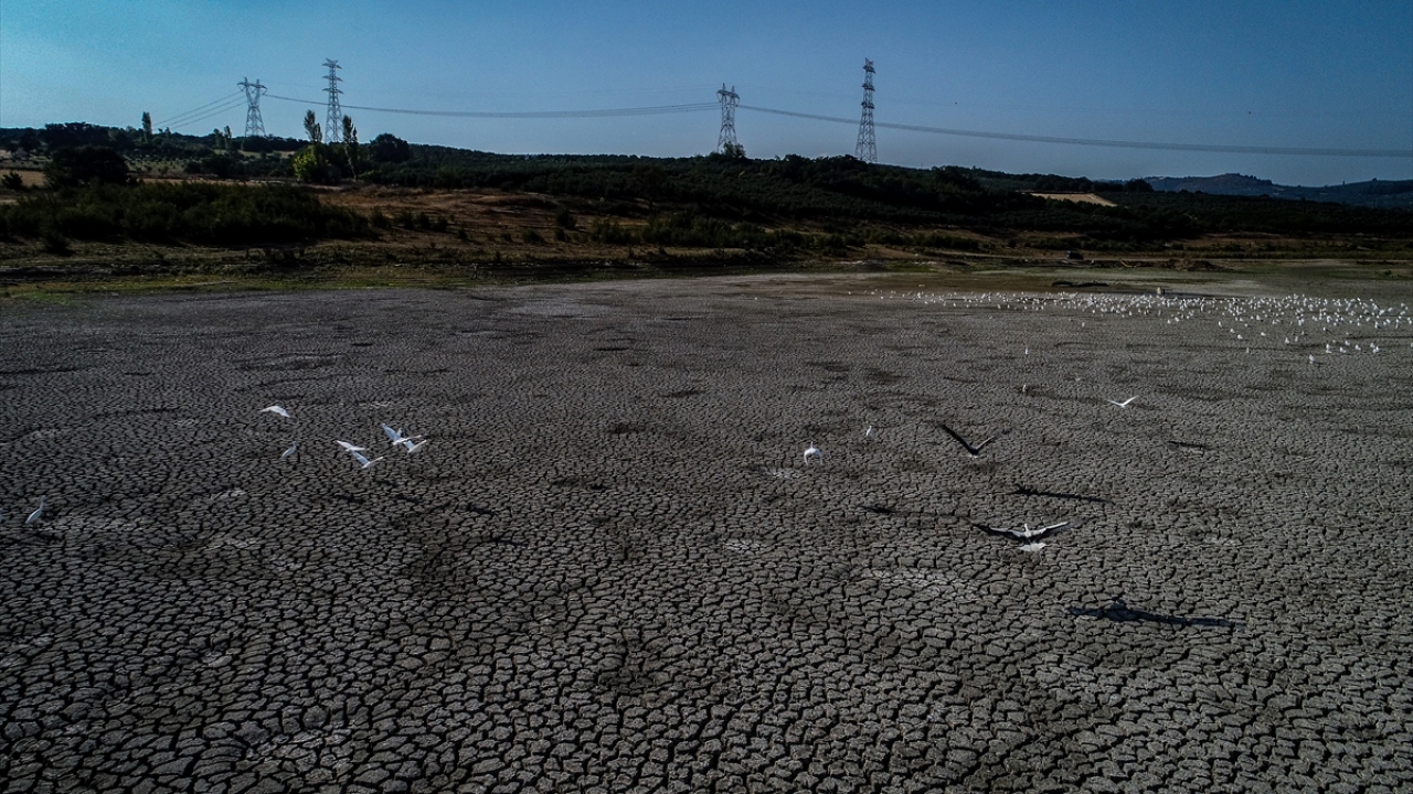 Bölgeye sevk edilen İl Tarım ve Orman Müdürlüğü ekipleri, yaptıkları incelemede, balık ölümlerinin, su seviyesinin azalmasına bağlı olarak yaşanan oksijen yetersizliğinden kaynaklandığını belirledi.