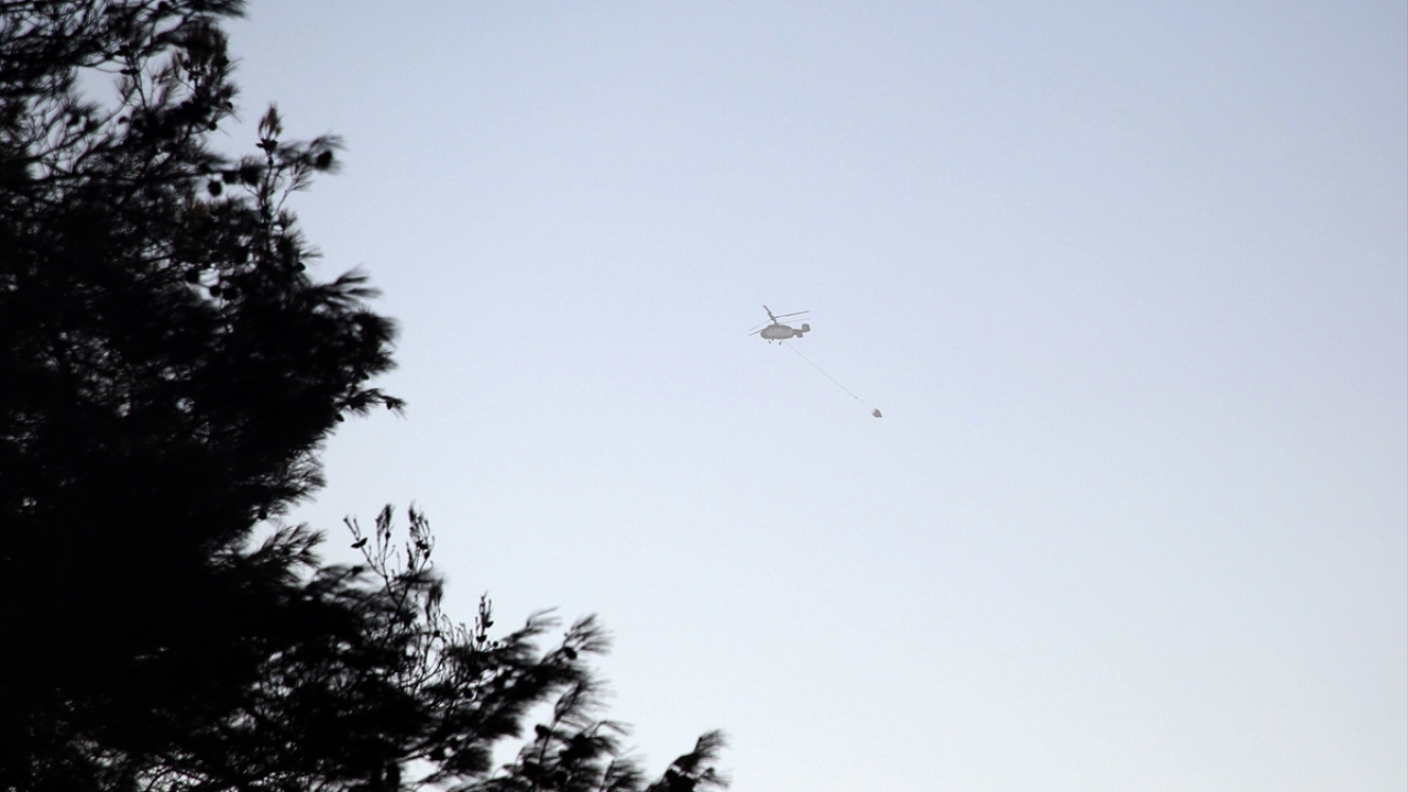 Önceki gün Kuyubeyli Mahallesi`ndeki ormanlık alanda başlayan yangın kontrol altına alınmaya çalışılıyor.