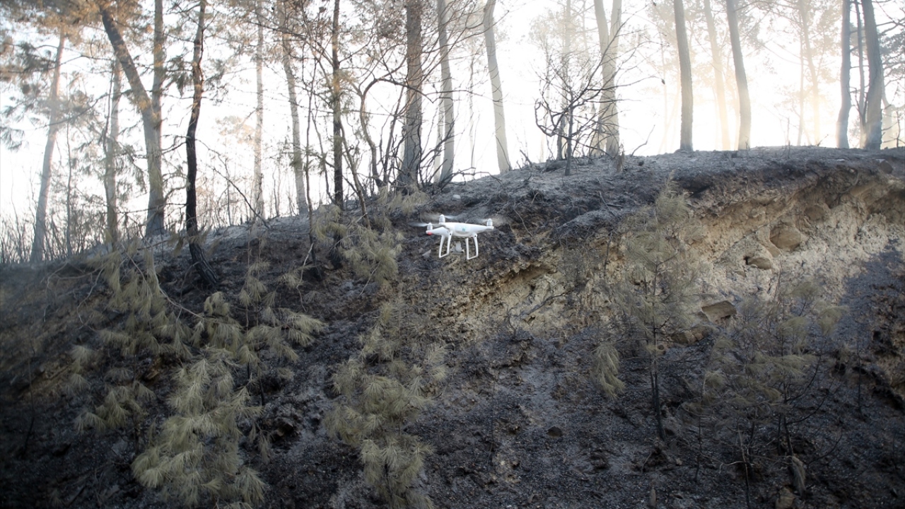 Bölgedeki yangın söndürme helikopterleri, alevlerin ilerlemesini durdurmaya çalışıyor. 