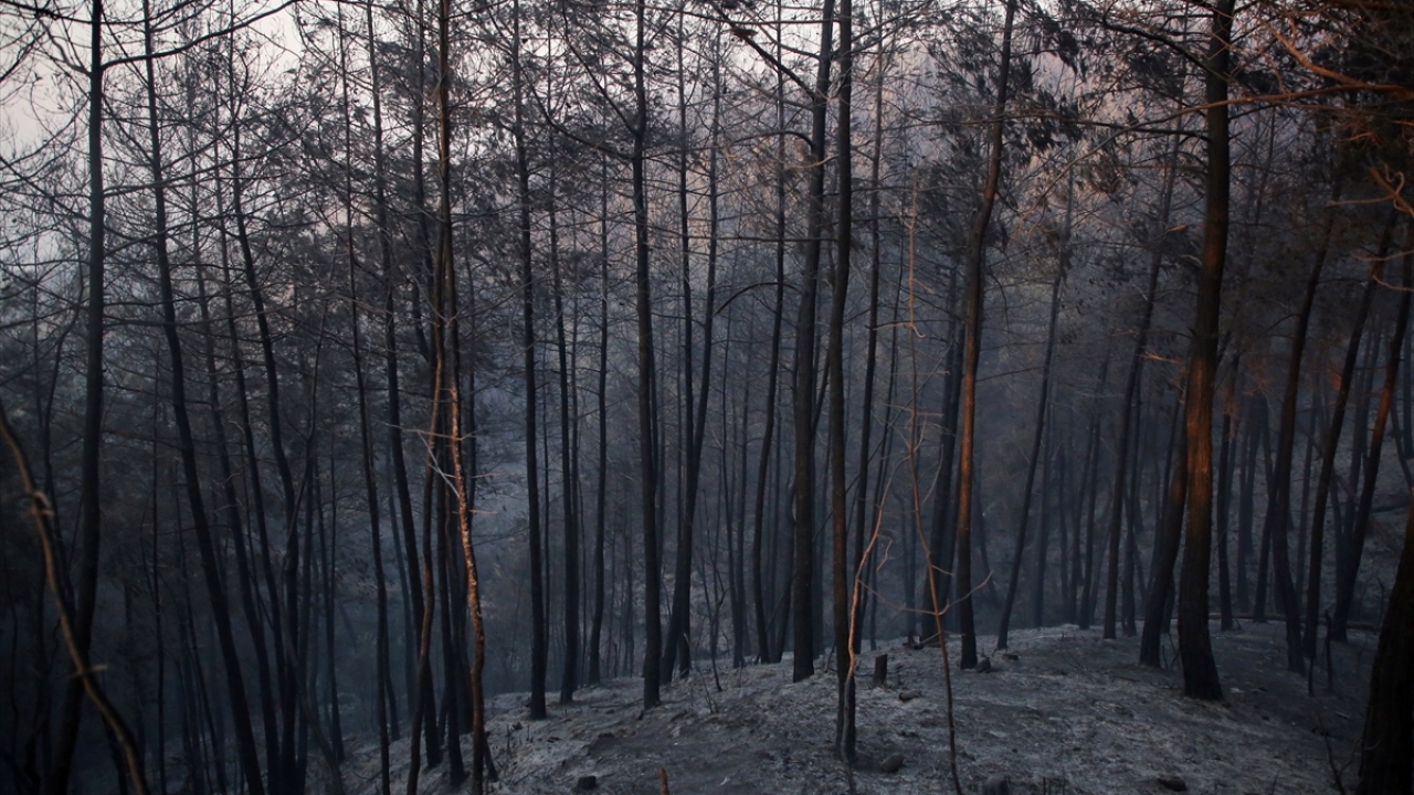 Adana ve çevre illerden gelen 153 arazöz ve çok sayıda personel de karadan yangının genişlemesini önlemek için çalışmalarını  sürdürüyor.