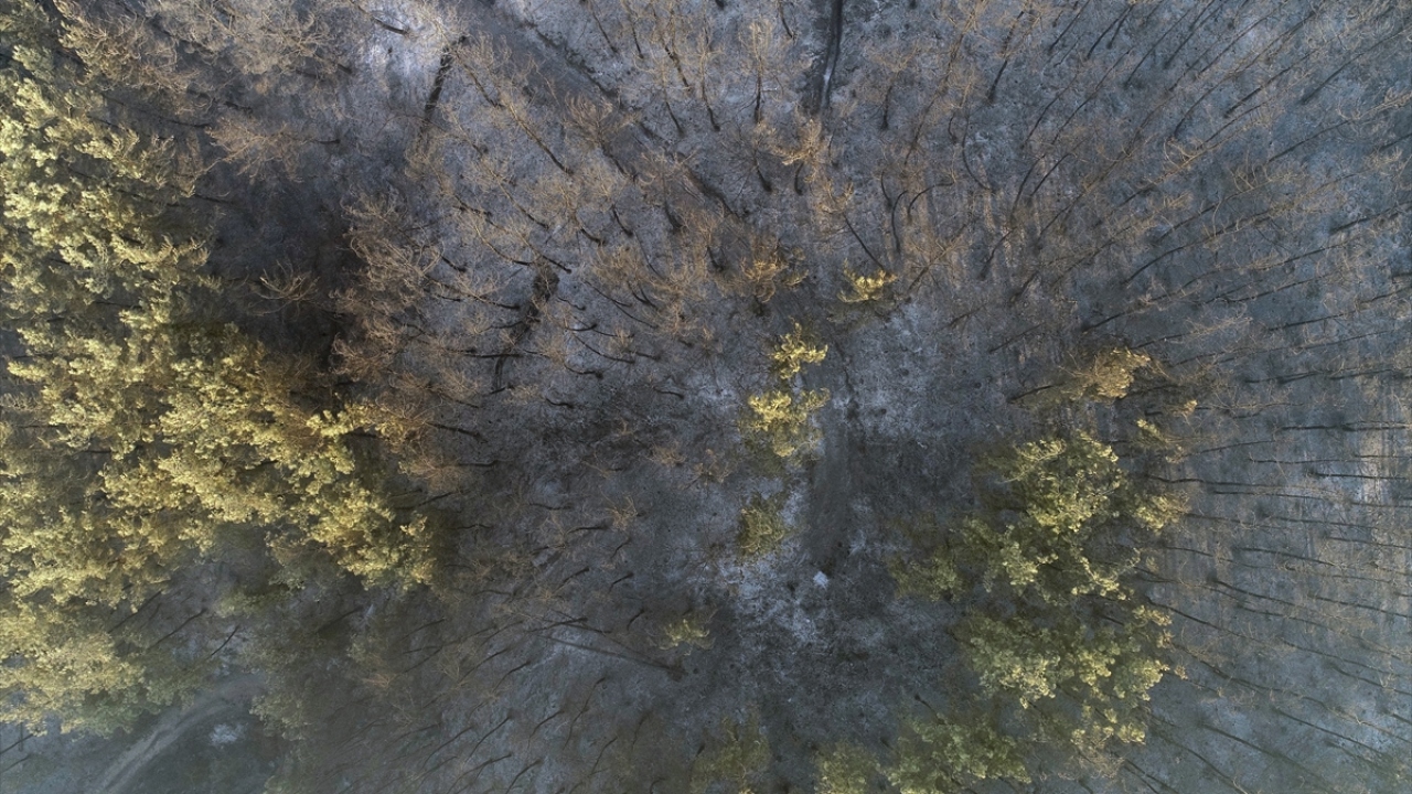 Bu arada bölgedeki yanan alanlar drone ile görüntülendi.