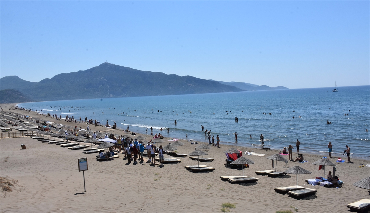 İztuzu Plajı`nda mayıs ve haziran ayında başlayan döngü sonrası yumurtadan çıkan yavru ceratta carettaların denizle buluşma telaşı sürüyor. 