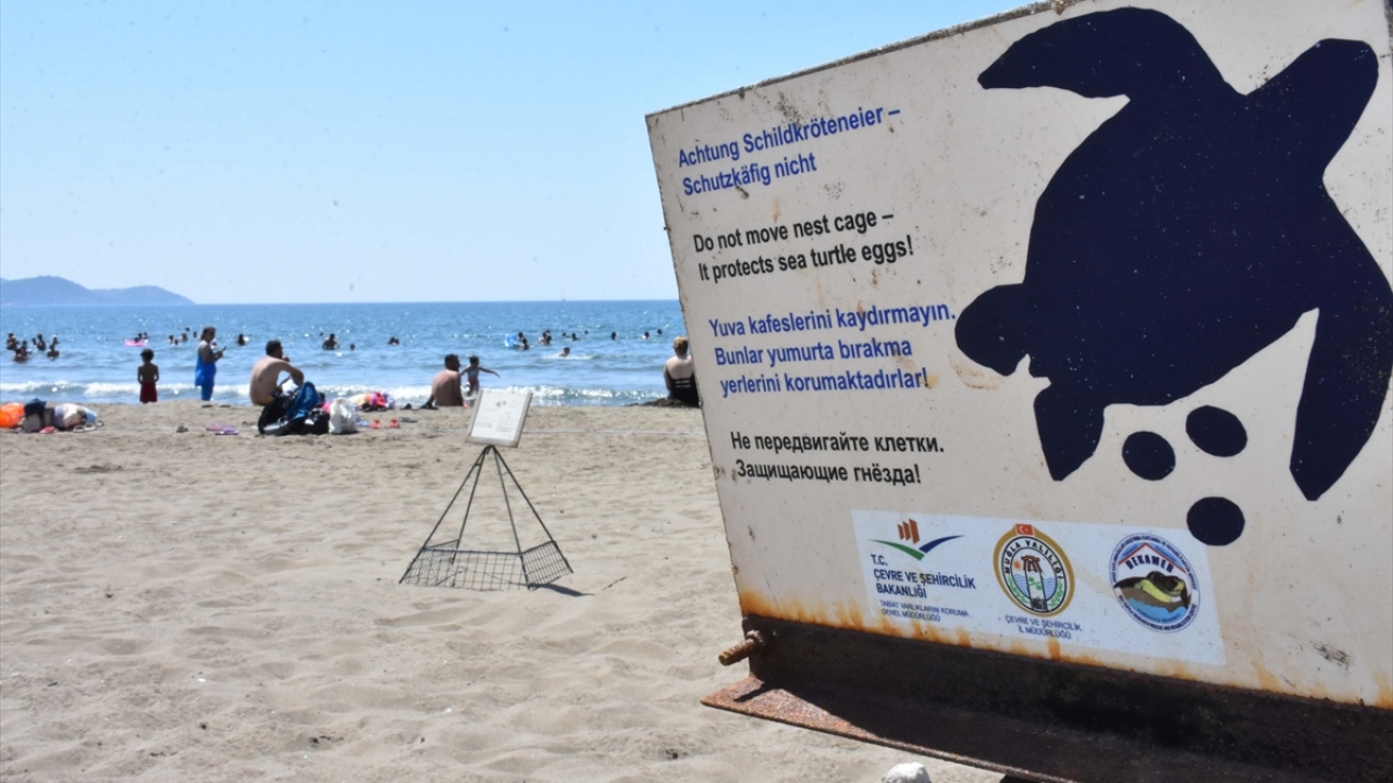 DEKAMER Başkanı ve Proje Yürütücüsü Prof. Dr. Yakup Kaska, bu yıl İztuzu sahilinde yuvalamanın rekor sayıya ulaştığını söyledi.