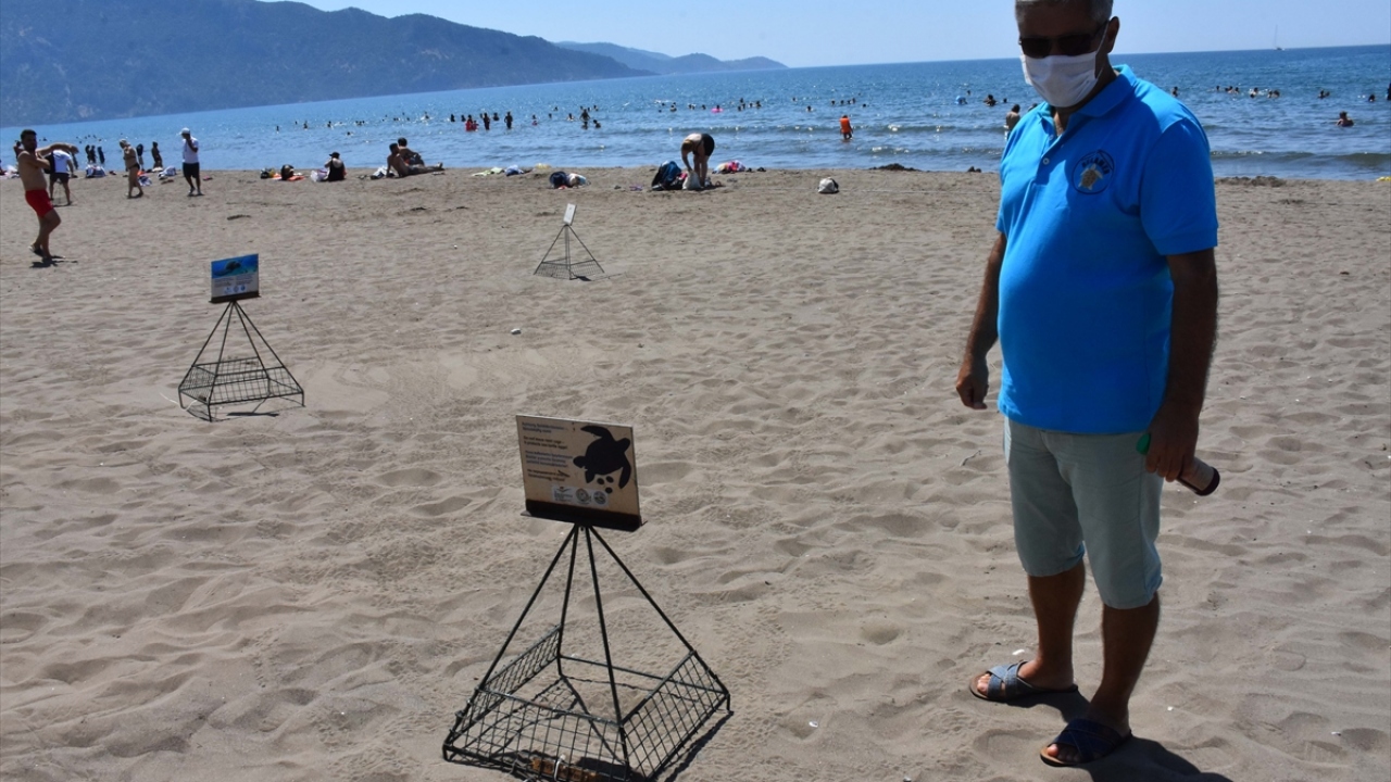 Ekim ortasına kadar 45 bin civarında yavrunun denize ulaşmasını beklediklerini belirten Kaska, yaklaşık 30 bin caretta caretta yavrusunun denizle buluştuğu bilgisini verdi.