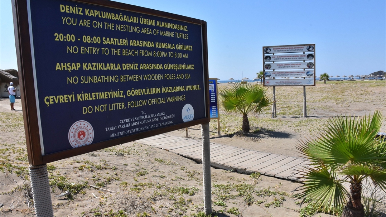 Kaska, nesli tehlike altındaki caretta caretta yavrularının sağlıklı olarak suya ulaşabilmesi için canla başla mücadele ettiklerini belirtti.