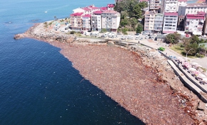 Sel dev kütükleri denize sürükledi, bu görüntüler ortaya çıktı