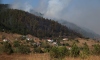 Kastamonu'da çıkan orman yangınına müdahale ediliyor