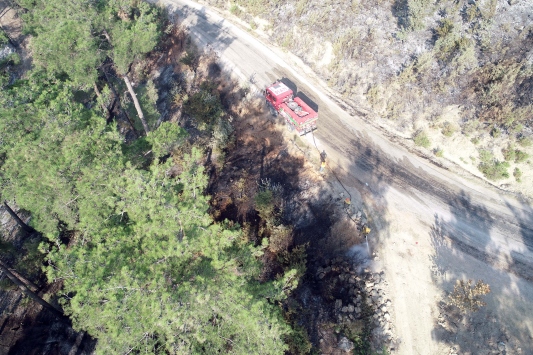 Adana'daki orman yangınında soğutma çalışmaları sürüyor