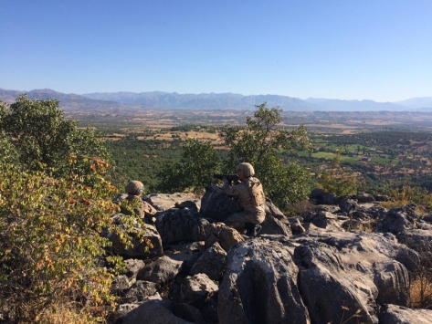 Diyarbakır'da Yıldırım-7 Lice Narko-Terör Operasyonu başlatıldı
