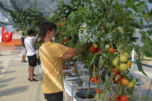 Liseli gençler robotik sistemli topraksız serada sebze meyve yetiştiriyor